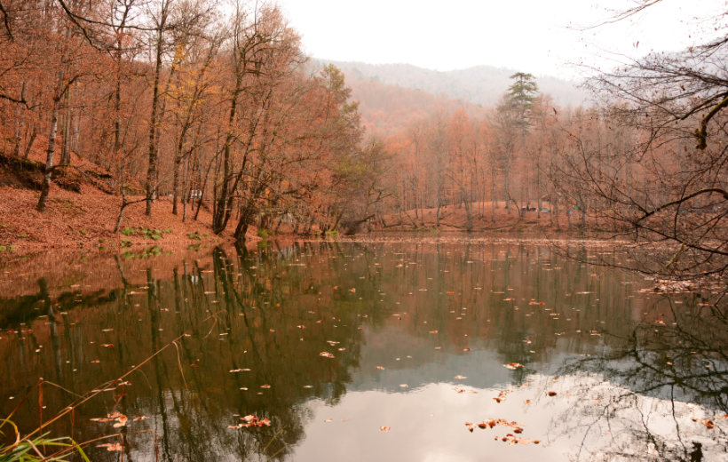 Batı Karadeniz Turu