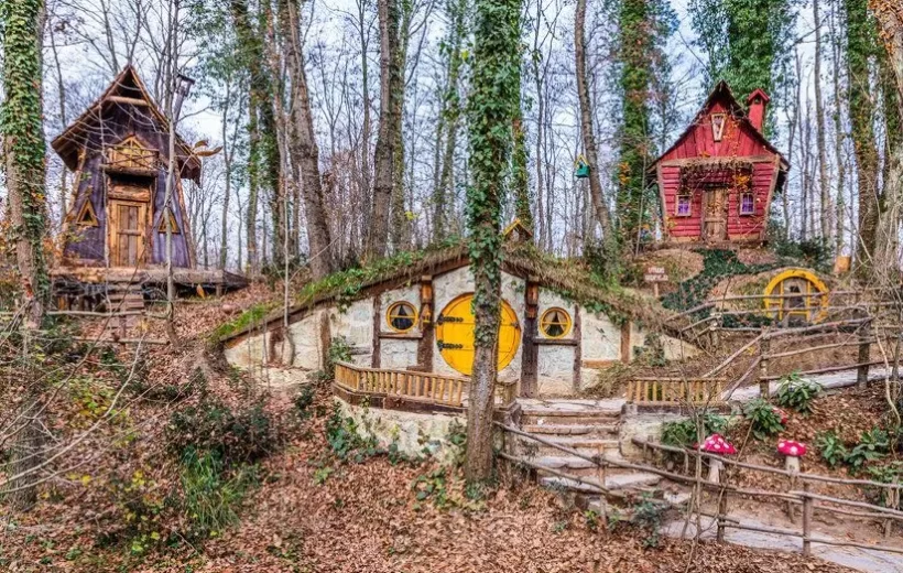 Ormanya & Maşukiye & SapancaTuru